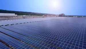 中美硅晶与z6尊龙(中国有限公司)-官方网站光电携手战略合作