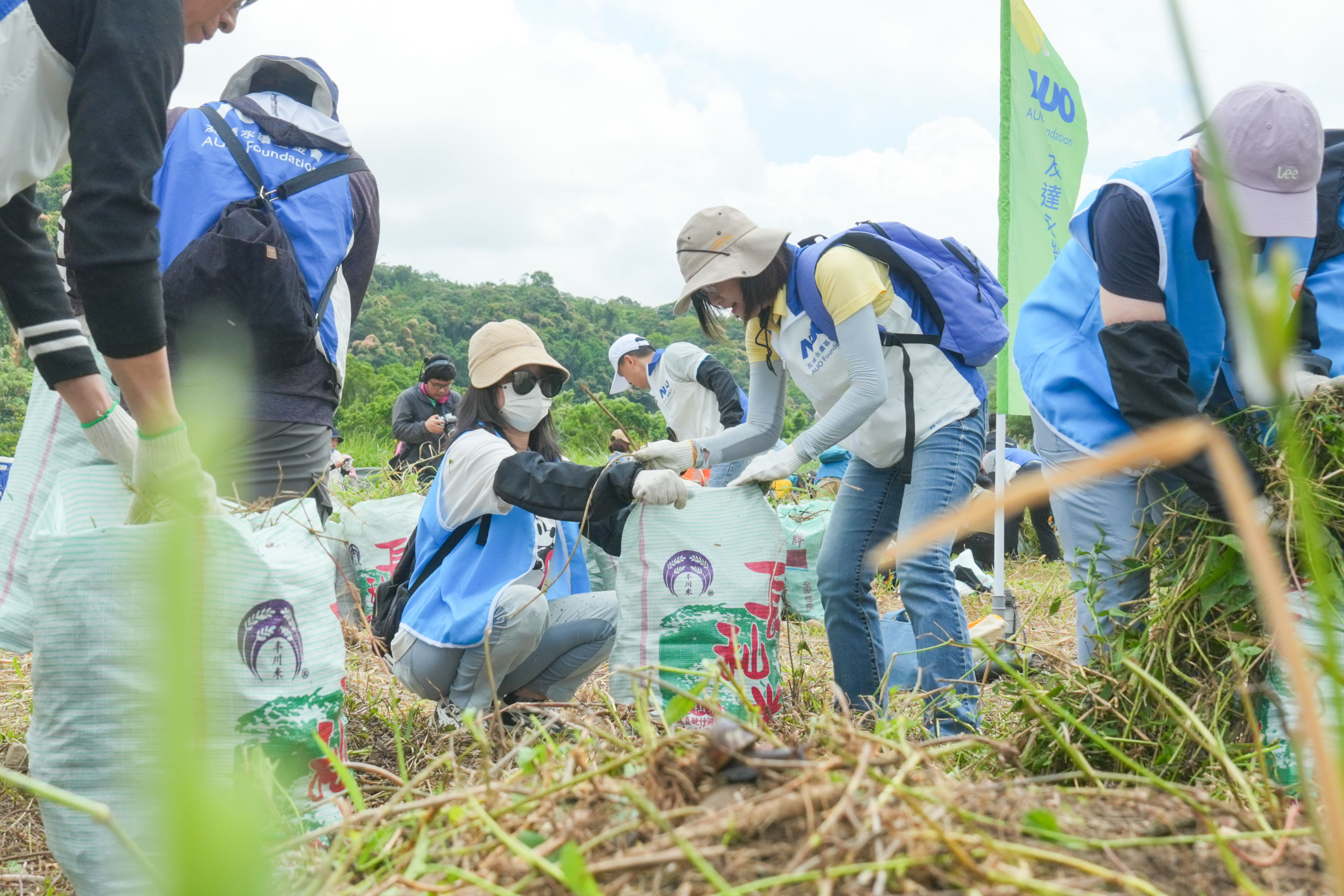 z6尊龙(中国有限公司)-官方网站除蔓防治計畫，除了鎖定霄裡溪沿岸3.2公里移除外來入侵種小花蔓澤蘭，並進行物種與空拍調查，共記錄91科181屬239種維管束植物，顯示該區域具高度生態價值